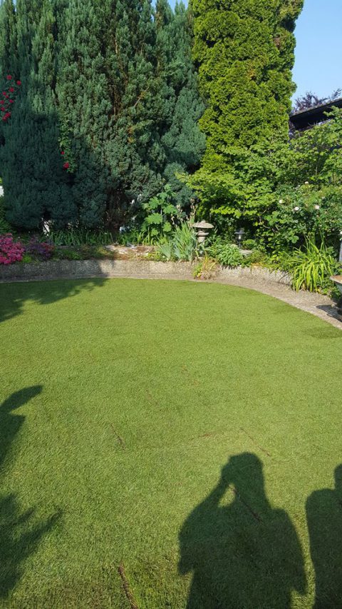 Garten- und Landschaftsbau Günter Lehr